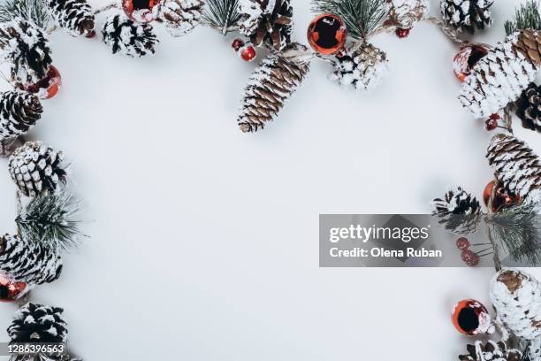 frame of beautiful christmas branches, cones - tree white background stock pictures, royalty-free photos & images