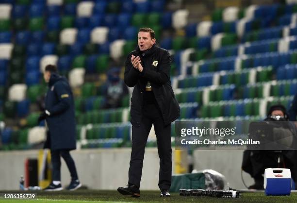 Mirel Radoi, Head coach of Romania reacts during the UEFA Nations League group stage match between Northern Ireland and Romania at Windsor Park on...
