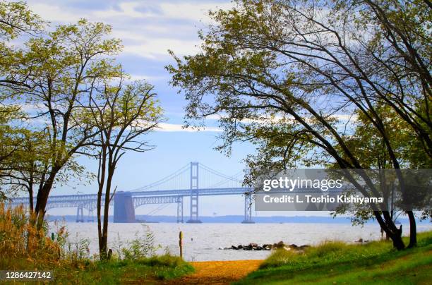 chesapeake bay bridge - chesapeake bay stock pictures, royalty-free photos & images