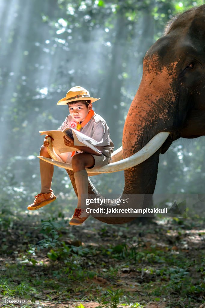 Boy scout sitting on an elephant trunk reading a magazine, Surin, Thailand