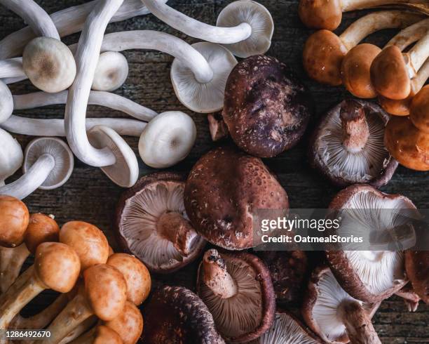 overhead view of mixed wild mushrooms on a wooden table - hongos fotografías e imágenes de stock