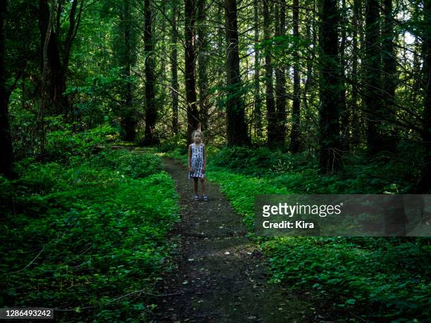 girl walking through the forest in summer, bialowieza, podlasie, poland - bialowieza photos et images de collection