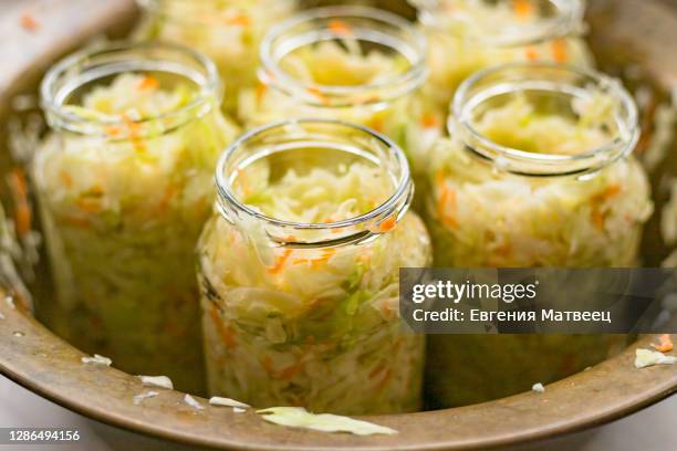 sauerkraut fermentation in copper bowl, glass pot. cut white cabbage fermented by lactic acid bacteria - jäst bildbanksfoton och bilder