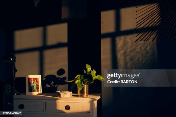 beautiful sunlight showing abstract shadows in home - boureau stock pictures, royalty-free photos & images