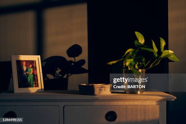 beautiful sunlight showing abstract shadows in home - chest of drawers stock-fotos und bilder