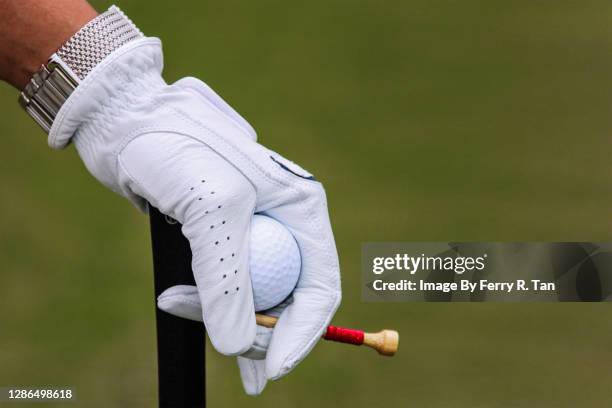 golf sports - hand with golf ball - golfhandschuh stock-fotos und bilder