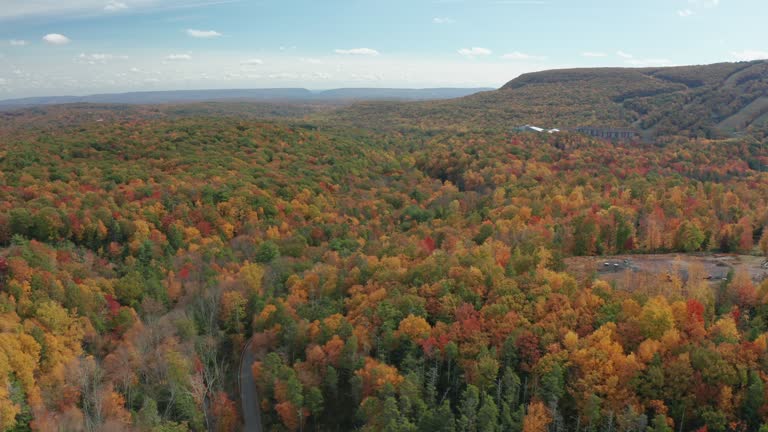https://media.gettyimages.com/id/1286518591/video/aerial-drone-shot-of-beautiful-fall-colors-in-pennsylvanias-pocono-mountains.jpg?b=1&s=640x640&k=20&c=5POTda0FU8XyBtR9Nyr5k-4cntmwcN06o5_eb8Kpefo=