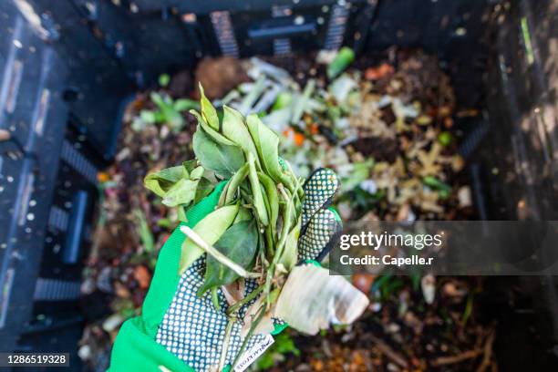 jardinage - composter ses déchets verts - compost stock pictures, royalty-free photos & images