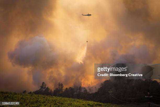 a helicopter fighting a forest wildfire - california wildfire 個照片及圖片檔