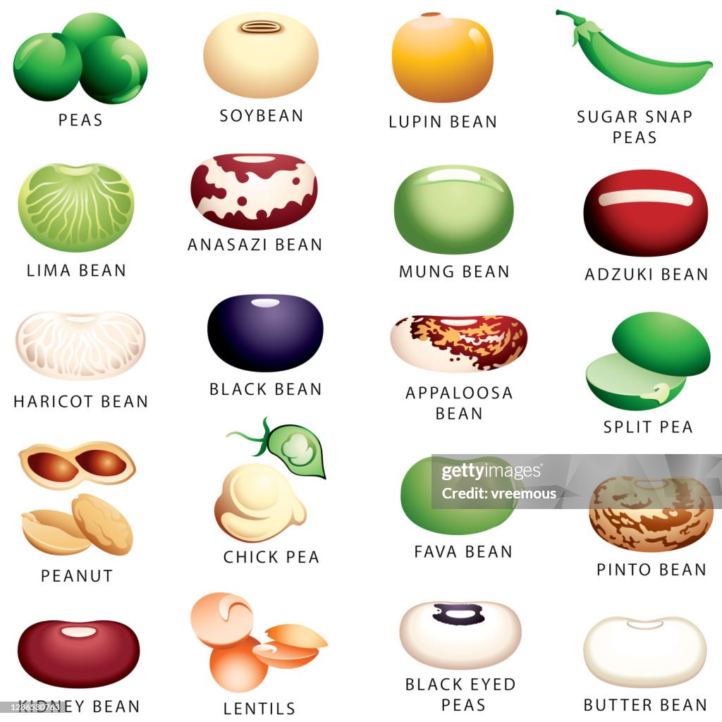 Legumes, Pulses, Beans and Peas icons