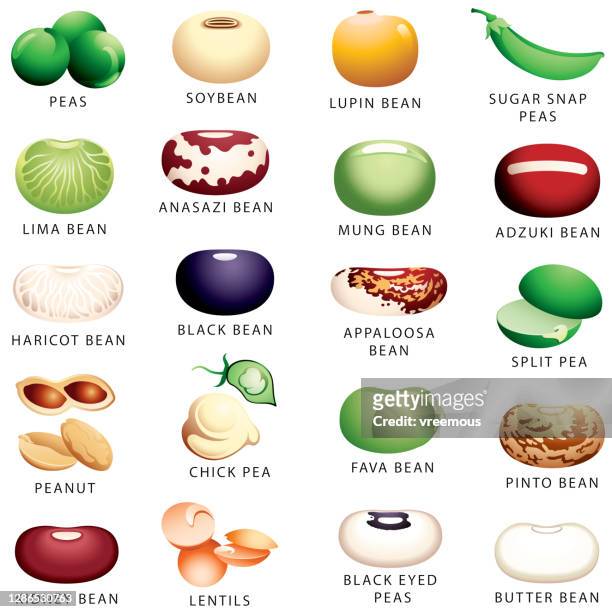 legumes, pulses, beans and peas icons - bean stock illustrations