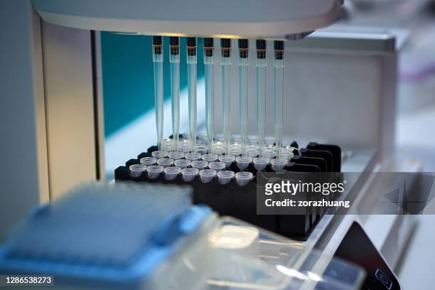 analyzing samples at laboratory - vaccine manufacturing stock pictures, royalty-free photos & images