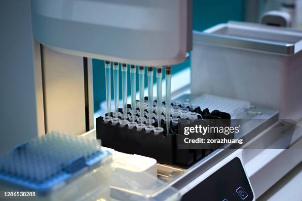 analyzing samples at laboratory - automated stock pictures, royalty-free photos & images