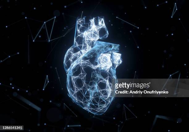 digital heart - human internal organs 3d model stockfoto's en -beelden