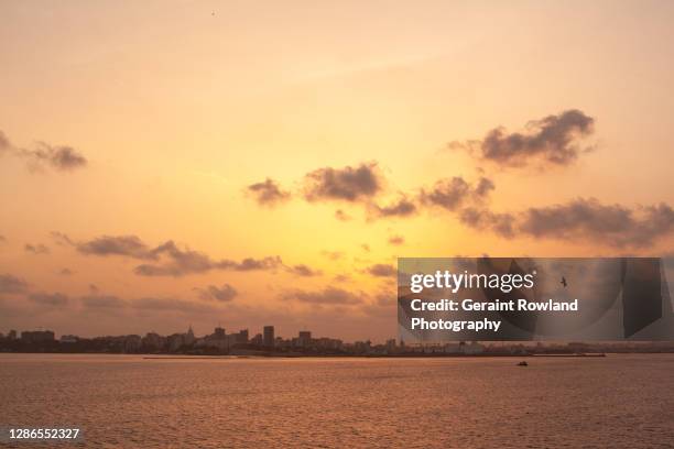 african nature image - senegal stock pictures, royalty-free photos & images