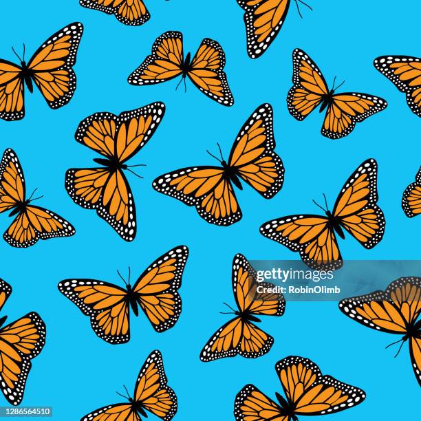 monarch butterflies seamless pattern - cute stock illustrations