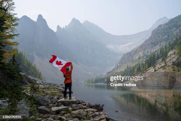 trilha do parque nacional banff - canada flag - fotografias e filmes do acervo