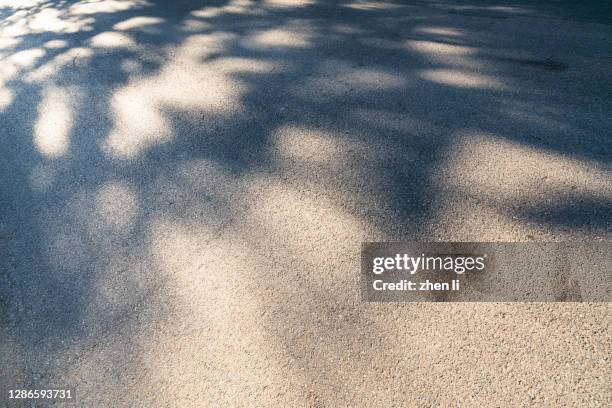 asphalt road in the shade - tarmac stock pictures, royalty-free photos & images