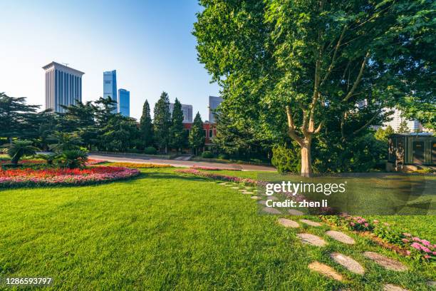 lawn and trees in the park - landscaped walkway stock pictures, royalty-free photos & images