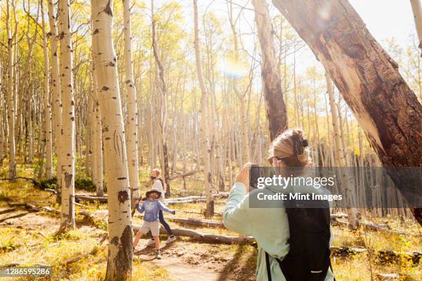 mother taking photo of her children on autumn nature trail - boy taking picture in forest stock pictures, royalty-free photos & images