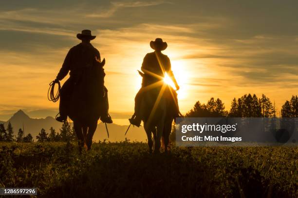two cowboys riding into the sunset across grassland with moutains behind, british colombia, canada. - cow boy photos et images de collection