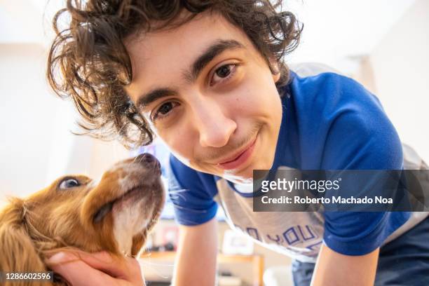 teenager petting his dog inside an apartment - roberto ricciuti foto e immagini stock