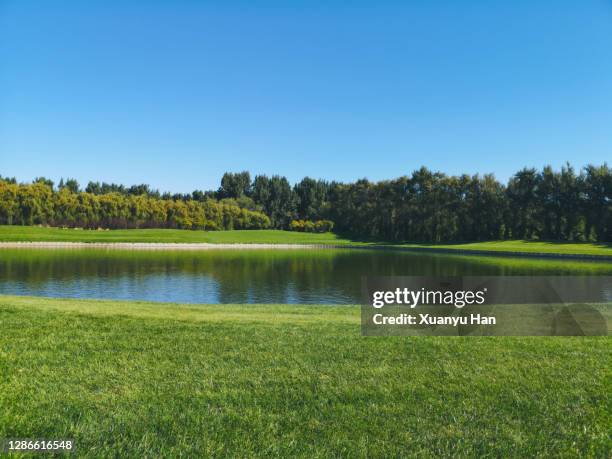 beautiful summer landscapes. - han river imagens e fotografias de stock