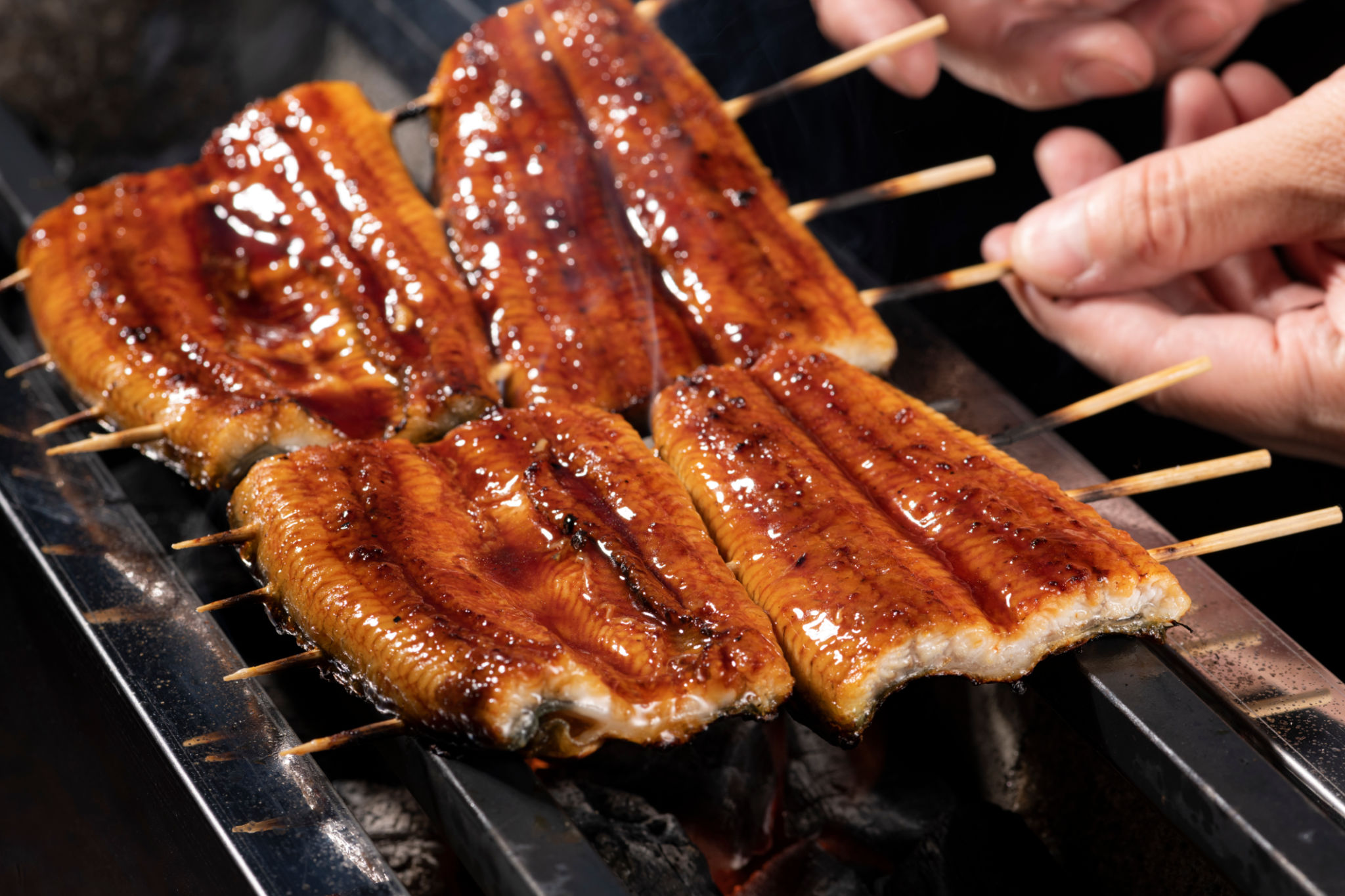 unagi grilled