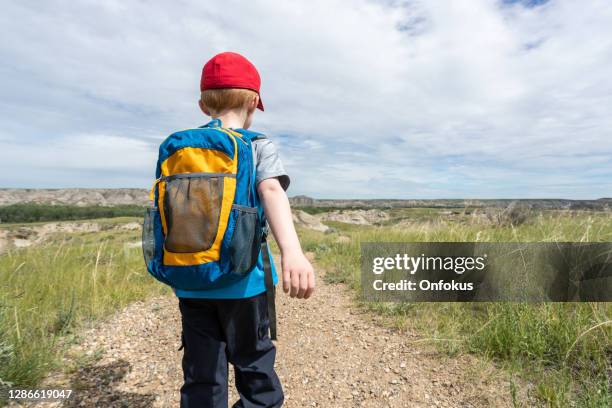 cute redhead boy hiking in badlands of dinosaur provincial park in alberta, canada - alberta badlands stock pictures, royalty-free photos & images