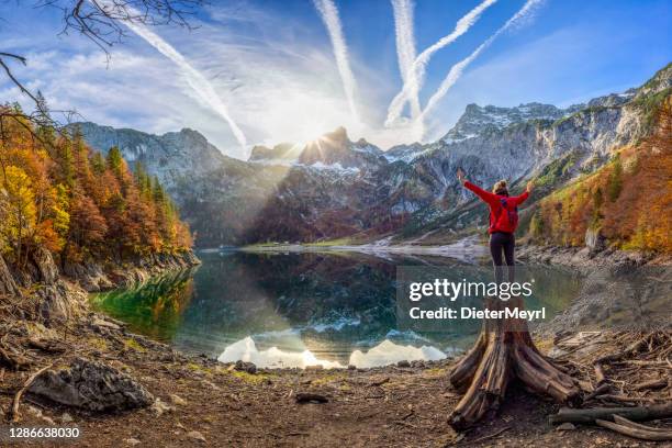 junge frau umarmt natur, bergsee gosau - österreich durchblick stock-fotos und bilder