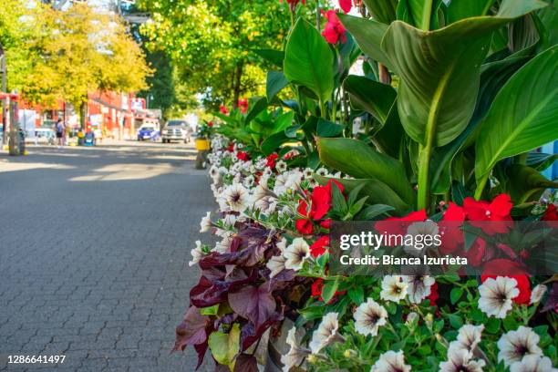 granville island in bloom - red brick paving stock pictures, royalty-free photos & images