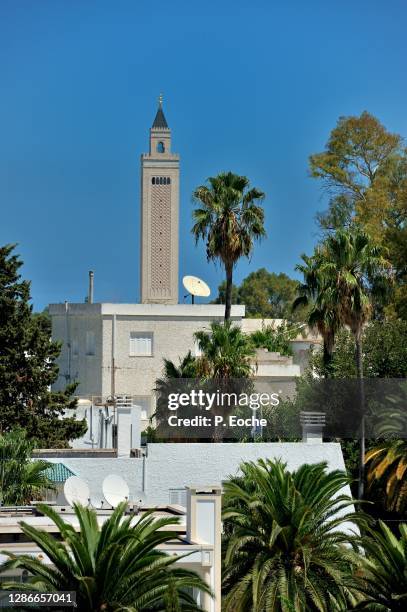 tunisia, minaret of the el abidine mosque seen from the acropolium. - mosque of tunis stock pictures, royalty-free photos & images