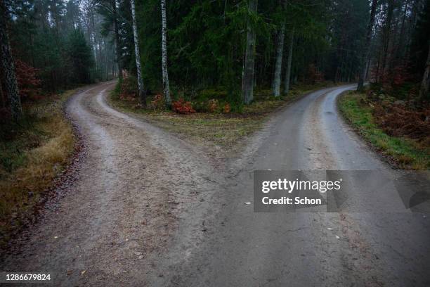 narrow gravel road in coniferous forest that divides into two roads - crossroad fotografías e imágenes de stock