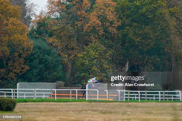 General view as runners race down the side of the track during The Ascot Racecourse Supports Safer Gambling Week Novices' Chase at Ascot Racecourse...