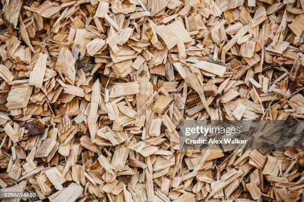 close up view of wood chipping - tree chipping stock pictures, royalty-free photos & images