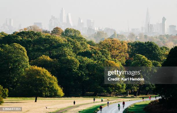 cyclists on a windy road at sunrise in a london park - richmond upon thames photos et images de collection