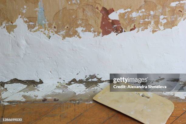 Paster Paper Ripp Offs 124 Paper Rip Off Stock Photos, High-Res Pictures, and Images - Getty ...
