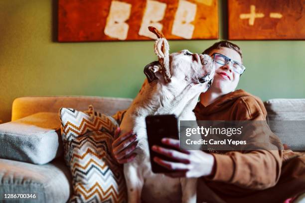 english bulldog licking his owner while he trys to make a selfie in xmas time - animal selfies 個照片及圖片檔