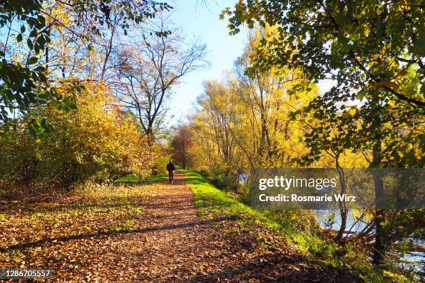 Coagh Riverside Walk Riverside Walk Photos and Premium High Res Pictures - Getty Images