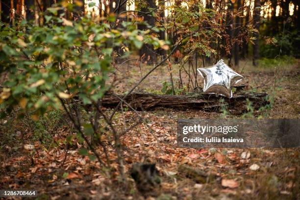 balloon in shape of star in forest - silver balloon imagens e fotografias de stock