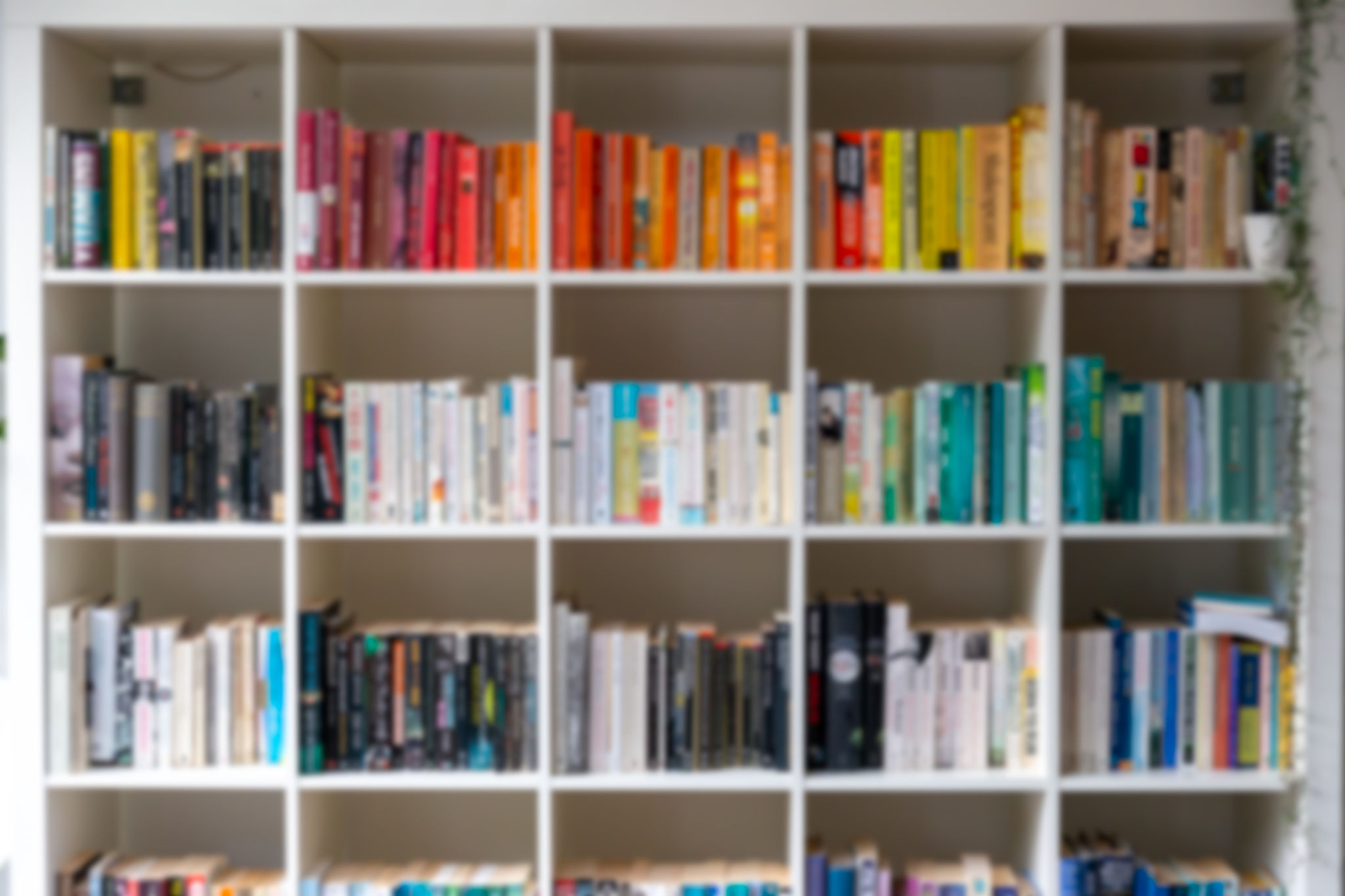 organized bookshelf