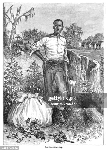 old engraved illustration of slave life on southern plantations - black history in the us fotografías e imágenes de stock
