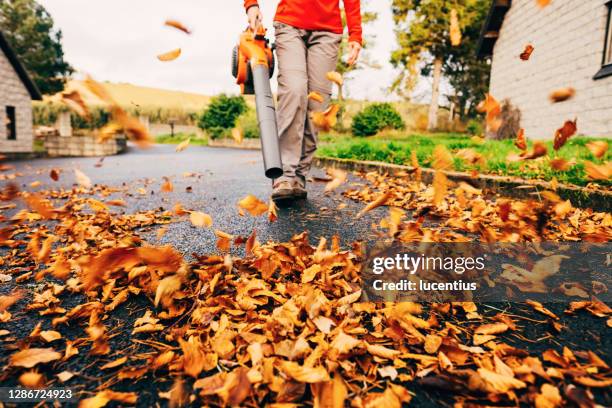 leaf blower clearing driveway - leaf-blower stock pictures, royalty-free photos & images