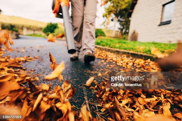 leaf blower clearing driveway - landscaped stock pictures, royalty-free photos & images