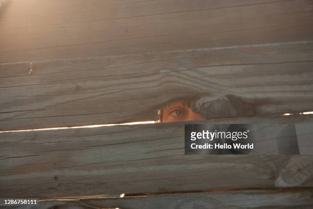 an eye peeping through a crack in the wood - neugierde stock-fotos und bilder