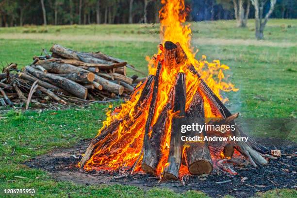 Field Bonfire Australia Firestorm View Photos and Premium High Res Pictures - Getty ...