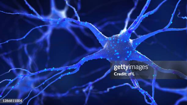 神經 - neurons brain stock pictures, royalty-free photos & images