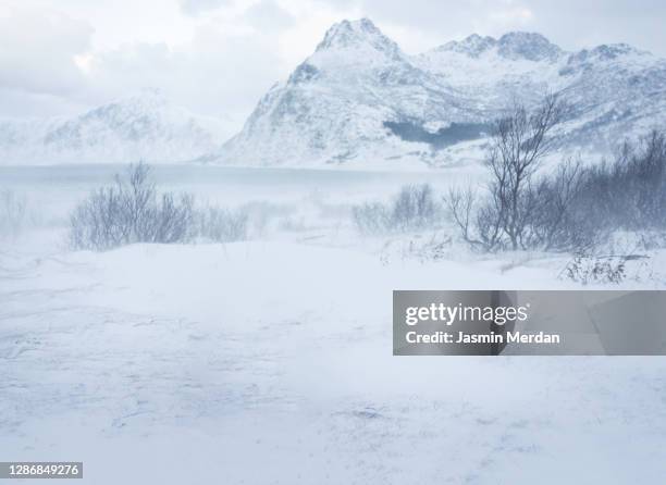 arctic ocean wave and mountain with storm - snow landscape stock pictures, royalty-free photos & images