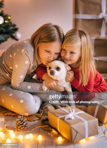 two little sisters playing with a cute dog at home on christmas - 2 5 months 個照片及圖片檔