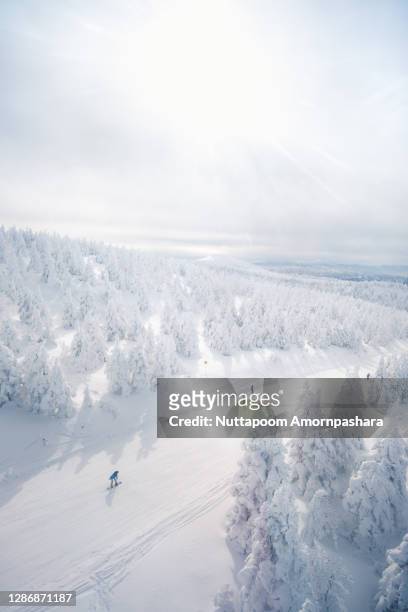 snowboarding at zao ski resort - japan skiing stock pictures, royalty-free photos & images